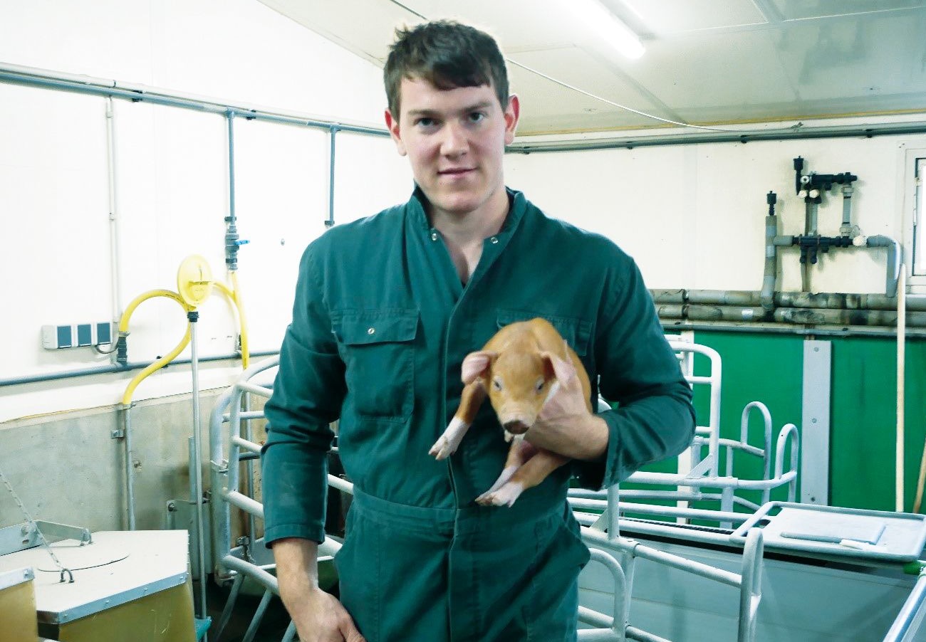 Azubi Lucas hält Ferkel im Schweinestall des Hofguts Neumühle